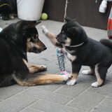 Valentina en Kaylee