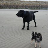 samen met bink op terschelling 2011