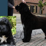 nero kleine foto was die nog een heel klein knuffelbeertje ;-)