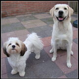 Sammy en Lana