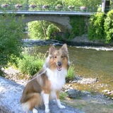 Miko aan de watervallen van Co