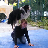 op dogpop 2010