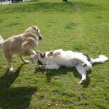 Foto van Julie & Yucca <3