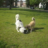 Foto van Julie & Yucca <3