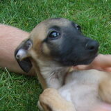 pupy Zora!!