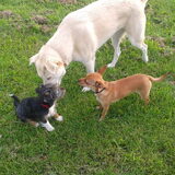 Foto van Valerie <3 Mila <3 Max
