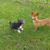 Foto van Valerie <3 Mila <3 Max