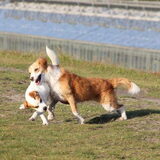 Foto van IreneHWC