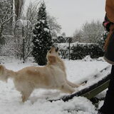 Met het baasje spelen in de sneeuw