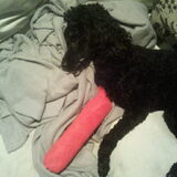 Baco met zn gebroken poot.