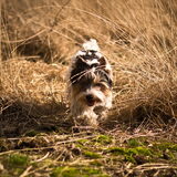 "I'm on my way" Marcel op wandel :)