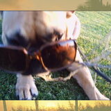 Dit vind ik dus helemaal niks...Grrrrrrrrrrr