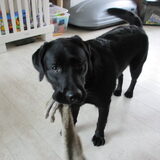 met zn allerliefste knuffeltje