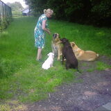 onze buurvrouw geeft ons altijd koekjes en met haar honden rex en timo…