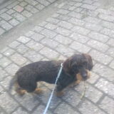 Ach, dit is gewoon mijn lieve Phanny.
