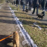 Ook ga ik zo af en toe wandelen met de Teckelclub.