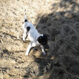 Nog op het strand