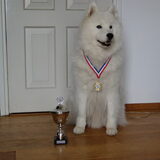Samojeden Clubmatch 2012