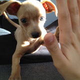 Hi5