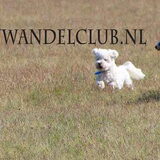Foto van IreneHWC