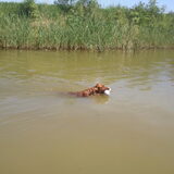 Jenna waterpret