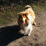Foto van Marjolein en Fay