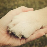 Never let you go!