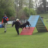 Fyotta du Stuyver Veld tijdens agility.