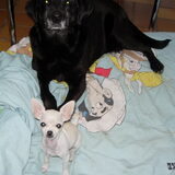 Twee vriendjes