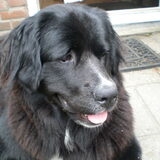 Foto van tessa