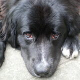 Foto van tessa