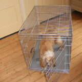 hondenbench voor middelgrote tot grotere hond