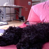 Foto van Dewi & de doodles
