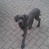 Foto van Kimberley