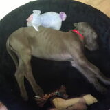 Foto van Kimberley