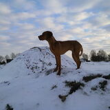 daar boven op de berg....