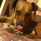 jammie een hondenlolly!!!!