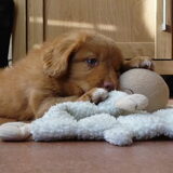 Foto van judith