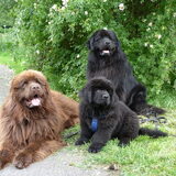 Foto van Betty