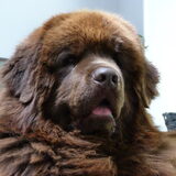 Foto van Betty