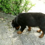 Foto van Marcel