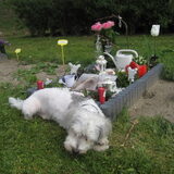 Zo lief!