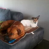 Jefke & Ali