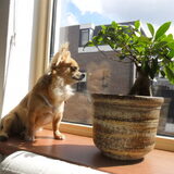 Foto van Tara,Matz,Ollie