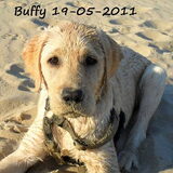 Lekker op het strand in Renesse