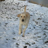 Sneeuw is leuk!