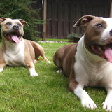 Foto van ilja<3 Aiko&Kira