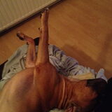 chucky knock-out op de bank