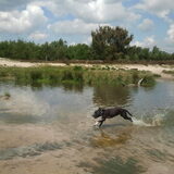 lekker rennen door het water :D
