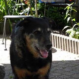 oud maar lief